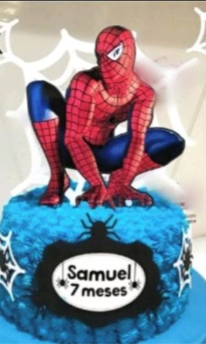 #706 Arquivo Digital Topo de Bolo Homem Aranha STUDIO