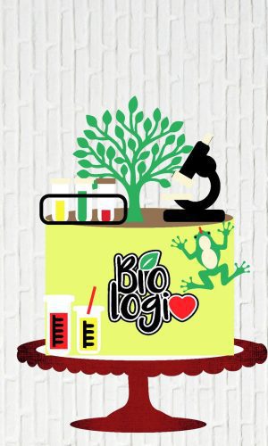 Arquivo de Corte Topo de Bolo Biologia Camadas