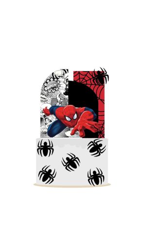 Arquivo Topo de Bolo Homem Aranha 17