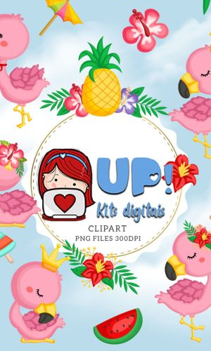 KIT DIGITAL FLAMINGO
