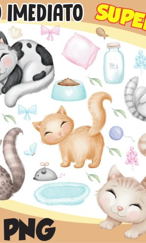 Kit Digital Pet Gatinhos