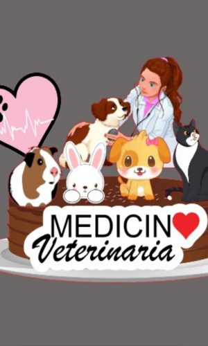 Topo de Bolo Medicina Veterinária Arquivo Digital