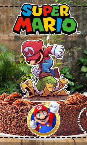 Topo de Bolo Super Mario - Ref 5015 Arquivo Digital