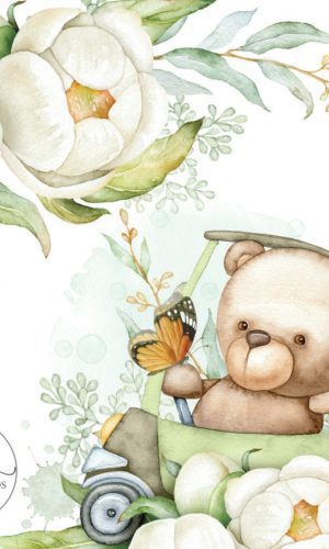Kit Aquarela - Digital Urso (completo)
