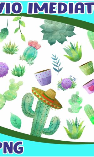 Kit Digital Cactos