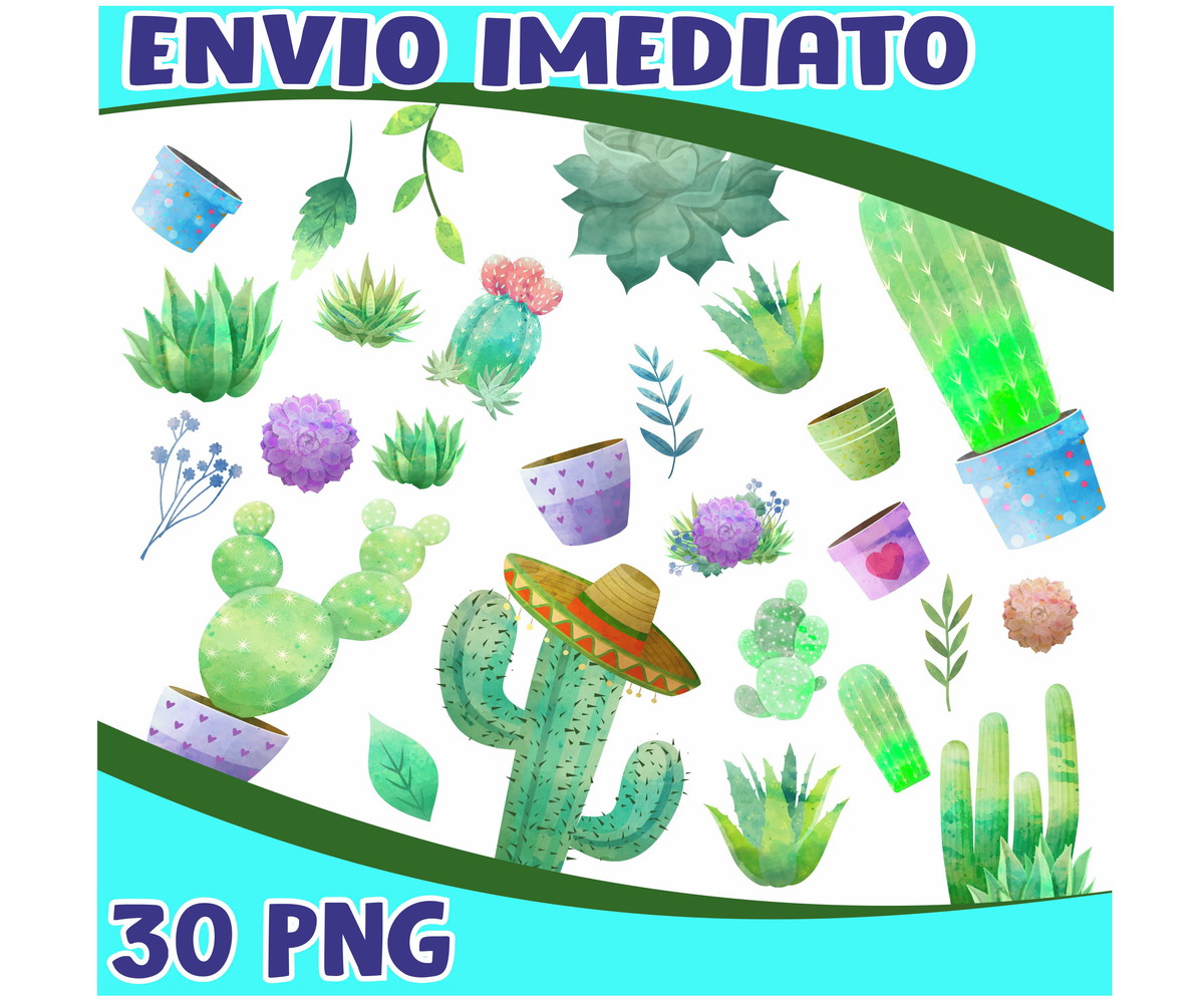 Kit Digital Cactos
