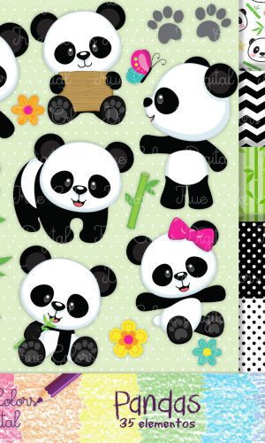 Kit Digital Pandas