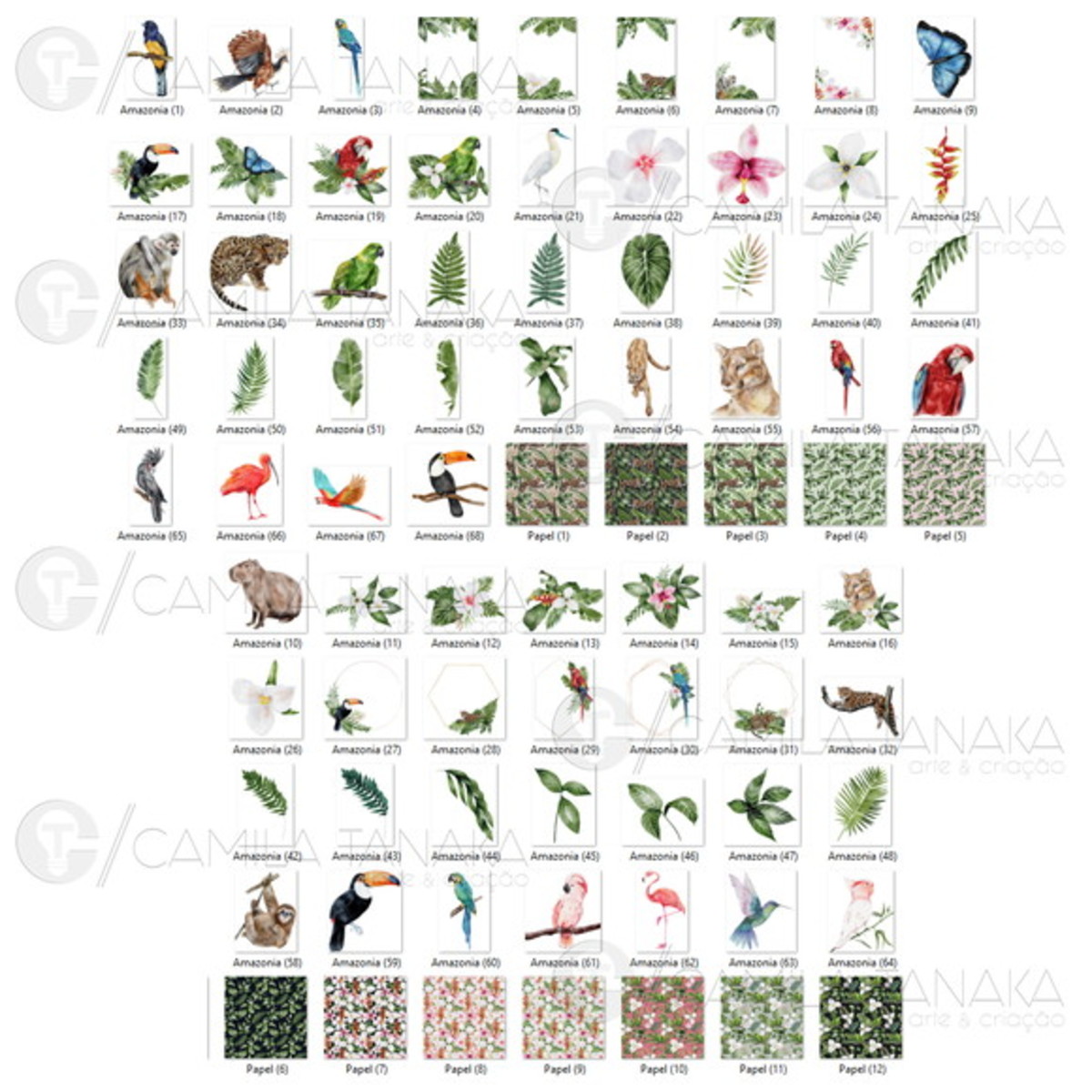 Kit Digital Png Animais Amazonia Aquarela (pague 1 Leve 3) - Imagem 2