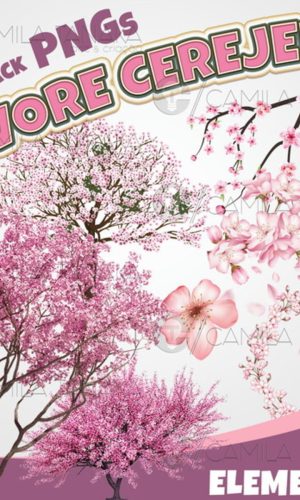 Kit Digital Png Arvore Cerejeira Aquarela (pague 1 Leve 3)