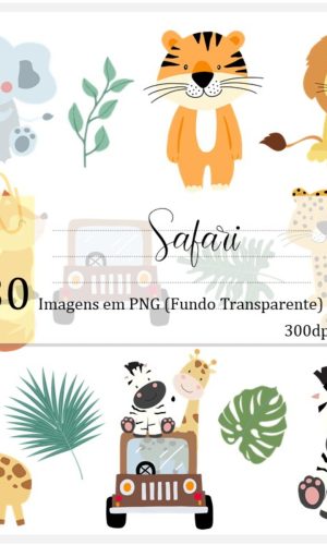 Kit Digital - Safari