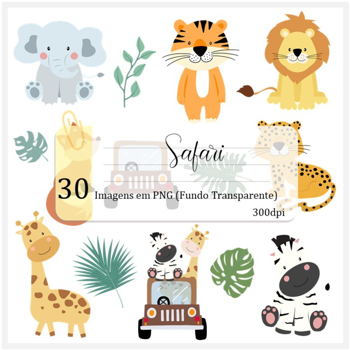 Kit Digital - Safari