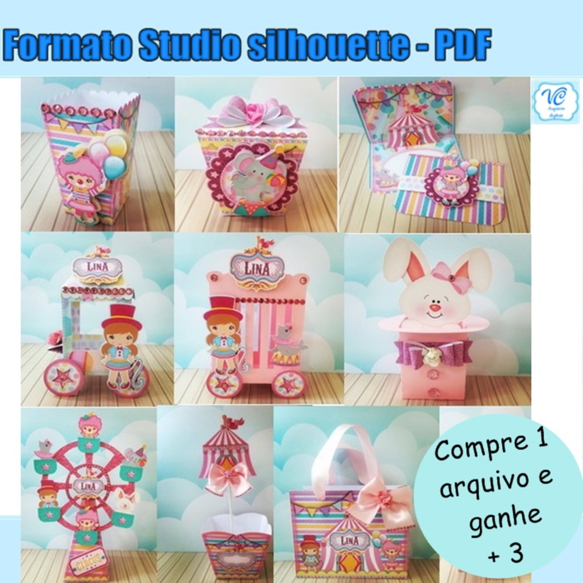 560- Arquivo de corte Circo Rosa studio e pdf