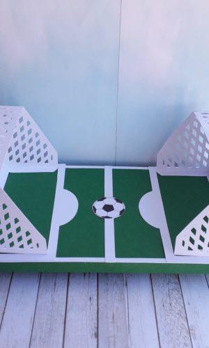 Arquivo Caixa Campo de Futebol - 6012-001