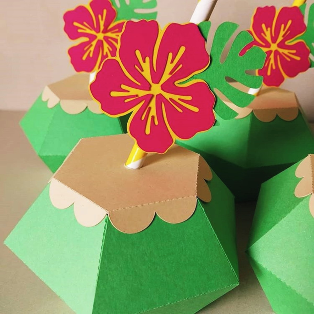Arquivo de Corte Caixa Coco + Aplique de Flor - Imagem 4