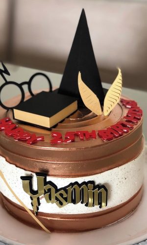 Topo de Bolo Harry Potter