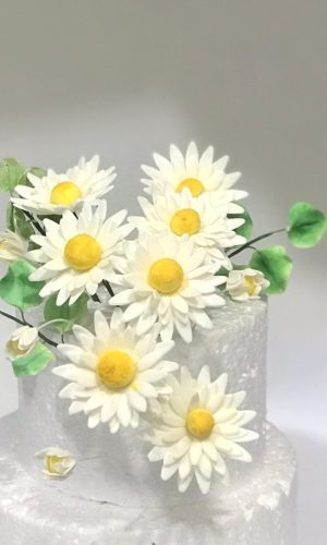 Topo de Bolo Margaridas