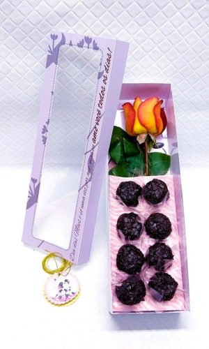 ARQUIVO CAIXA FLOR E DOCES DIA DAS MÃES BICHINHOS #5041