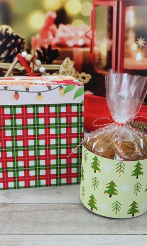 Arquivo de Corte Caixa Panetone de Natal