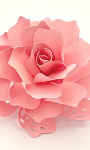 Arquivo de Corte: Flor Rendada (studio) 004