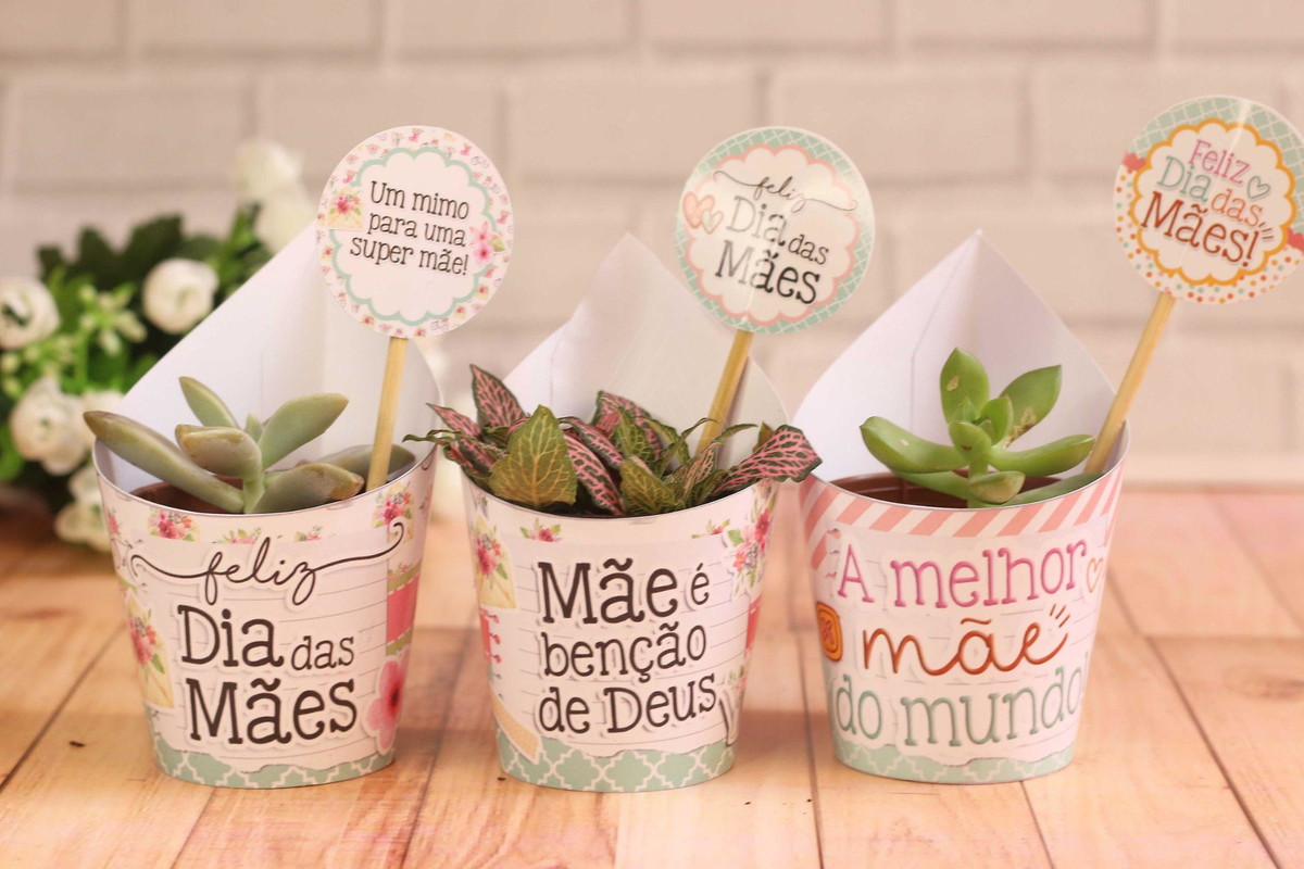 Arquivo de Corte Kit Saia para Suculenta Dia das Mães #13935 - Imagem 5