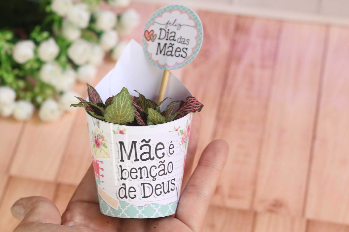 Arquivo de Corte Kit Saia para Suculenta Dia das Mães #13935 - Imagem 2