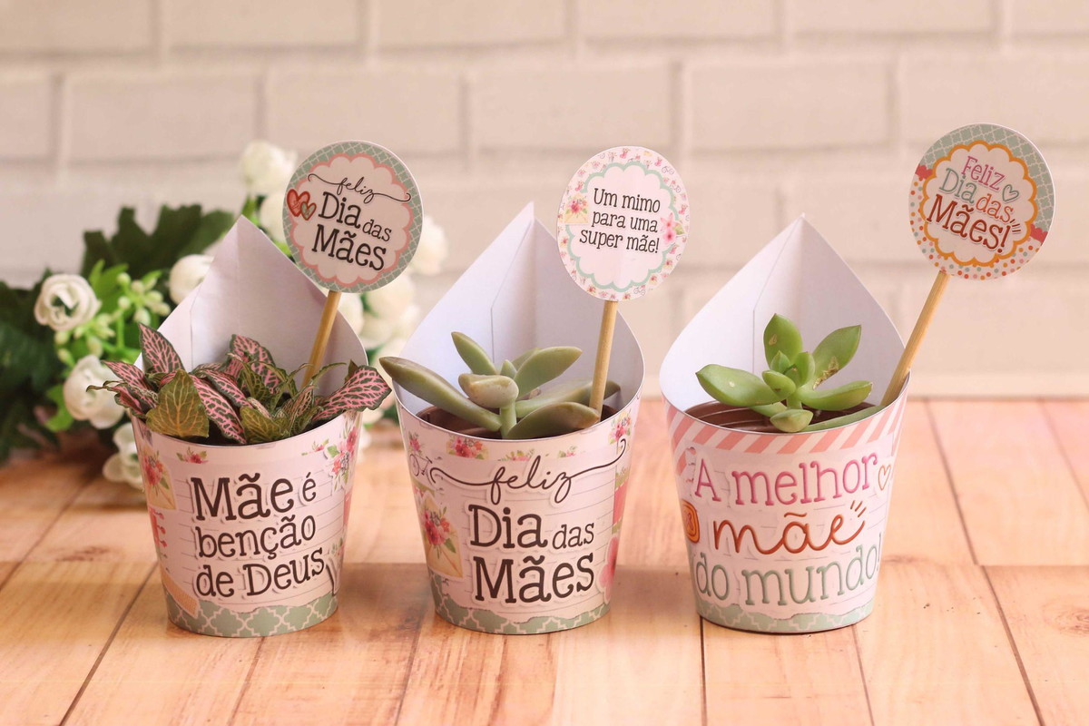 Arquivo de Corte Kit Saia para Suculenta Dia das Mães #13935 - Imagem 3