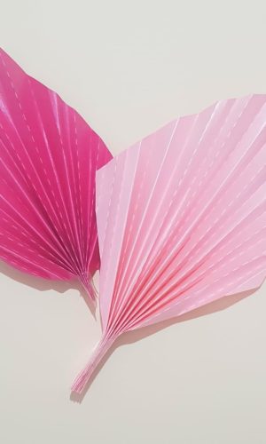 ARQUIVO DE CORTE TOPO DE BOLO 1 modelos de folhas plissadas