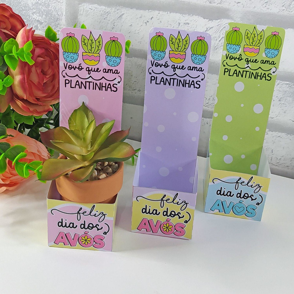 Arquivo Kit Porta Suculentas Dia Dos Avos #15056