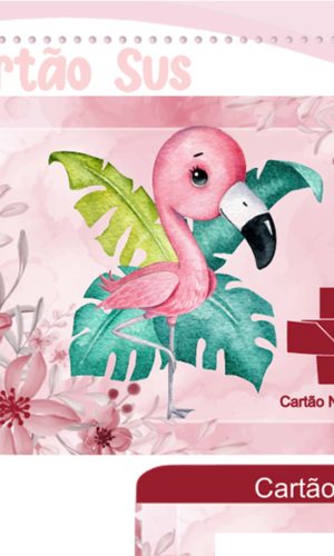 Cartão Digital Sus Flamingo
