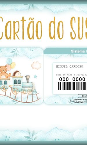 Cartão Sus Menino
