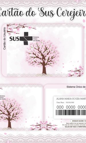 Cartão SUS Cerejeira