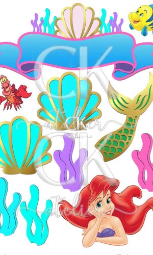 Topo de Bolo Ariel