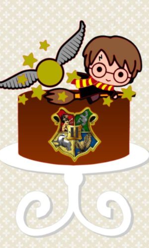 Topo de Bolo Harry Potter